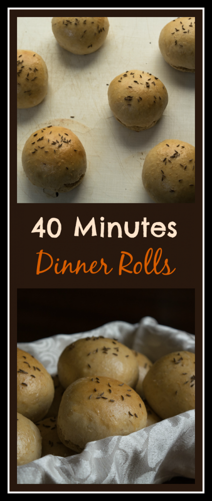 40MinDinnerRolls