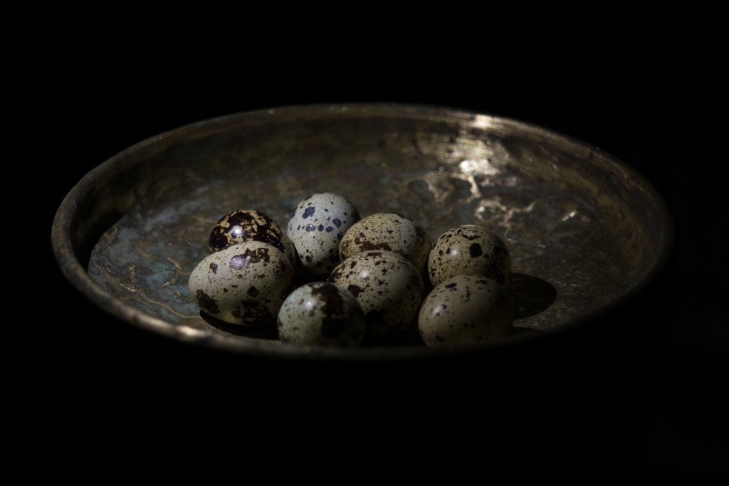 Quail eggs