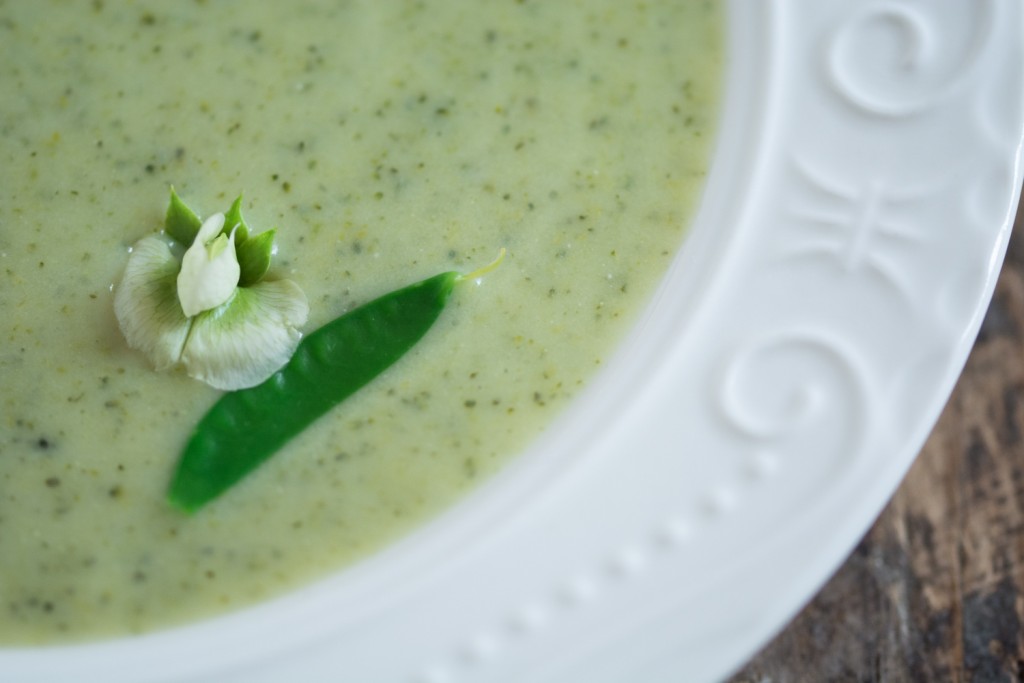 Broccoli soup